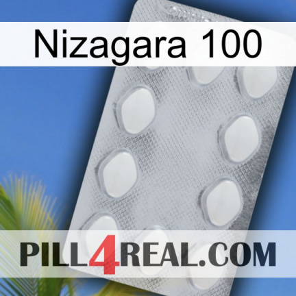 Nizagara 100 16